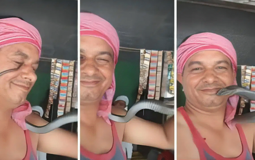 रील के चक्कर में गले में डाला जहरीला सांप, नाग ने डसा; बिजनौर में किसान की मौत
